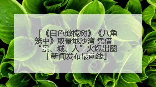 《白色橄榄树》《八角笼中》取景地沙湾 凭借“景、城、人”火爆出圈丨新闻发布最前线