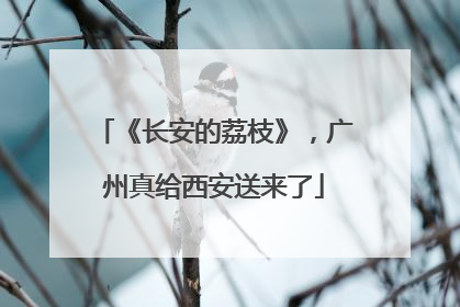 《长安的荔枝》，广州真给西安送来了