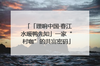 「理响中国·春江水暖鸭先知」一家“村咖”的共富密码
