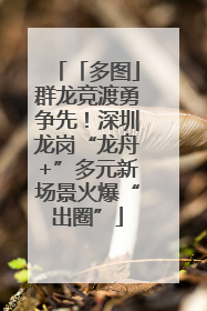 「多图」群龙竞渡勇争先！深圳龙岗“龙舟+”多元新场景火爆“出圈”
