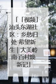 「视频」汕头东湖社区：乡愁归处 希望新生｜大美岭南·百村焕新记