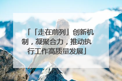 「走在前列」创新机制，凝聚合力，推动执行工作高质量发展