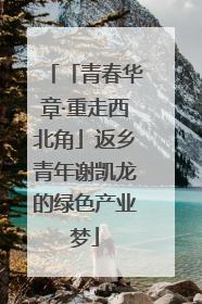 「青春华章·重走西北角」返乡青年谢凯龙的绿色产业梦