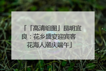 「高清组图」昆明宜良：花乡盛宴迎宾客 花海人潮庆端午