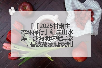 「2025甘肃生态环保行」红崖山水库：沙海明珠绽异彩，碧波荡漾润绿洲