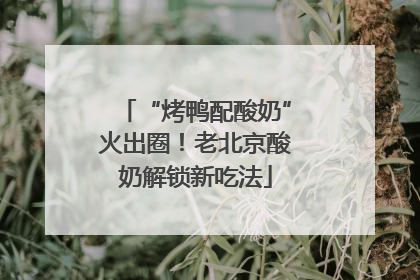 “烤鸭配酸奶”火出圈！老北京酸奶解锁新吃法