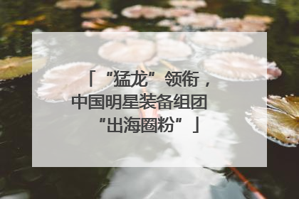 “猛龙”领衔，中国明星装备组团“出海圈粉”