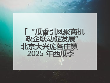 “瓜香引凤聚商机 政企联动促发展”北京大兴庞各庄镇 2025 年西瓜季政企联动产业推介活动圆满举行