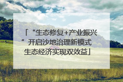 “生态修复+产业振兴”开启沙地治理新模式 生态经济实现双效益