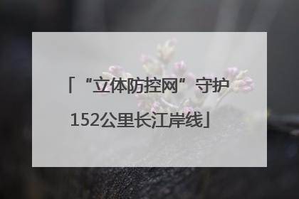 “立体防控网”守护152公里长江岸线