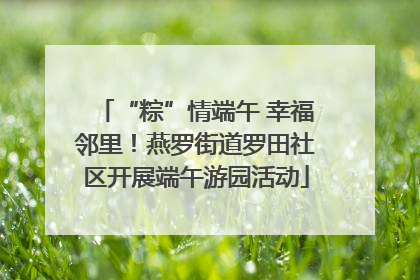 “粽”情端午 幸福邻里！燕罗街道罗田社区开展端午游园活动
