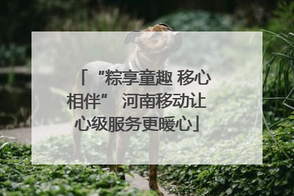 “粽享童趣 移心相伴” 河南移动让心级服务更暖心