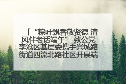 “粽叶飘香敬贤德 清风伴老话端午” 致公党李沧区基层委携手兴城路街道四流北路社区开展端午节主题活动