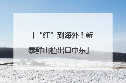 “红”到海外！新泰鲜山楂出口中东