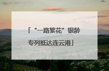 “一路繁花”银龄专列抵达连云港