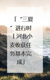 “三夏”进行时丨河北小麦收获任务基本完成