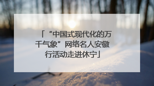 “中国式现代化的万千气象”网络名人安徽行活动走进休宁