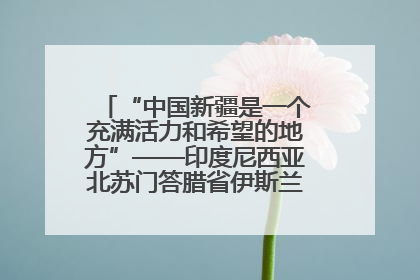 “中国新疆是一个充满活力和希望的地方”——印度尼西亚北苏门答腊省伊斯兰教代表团参访新疆