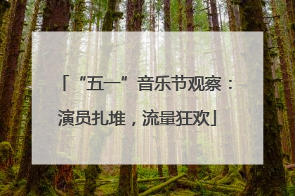 “五一”音乐节观察：演员扎堆，流量狂欢