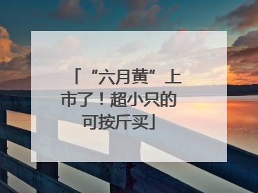 “六月黄”上市了！超小只的可按斤买