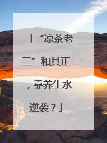 “凉茶老三”和其正，靠养生水逆袭？