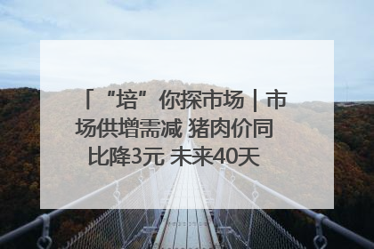 “培”你探市场｜市场供增需减 猪肉价同比降3元 未来40天便宜猪肉敞开吃