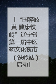 “国粹岐黄 健康铁岭”辽宁省第二届中医药文化夜市（铁岭站）启动