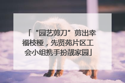 “园艺剪刀”剪出幸福枝桠，先贤苑片区工会小组携手扮靓家园