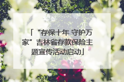 “存保十年 守护万家”吉林省存款保险主题宣传活动启动