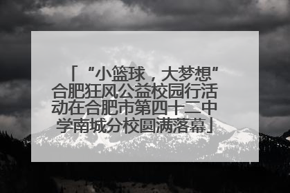 “小篮球，大梦想”合肥狂风公益校园行活动在合肥市第四十二中学南城分校圆满落幕