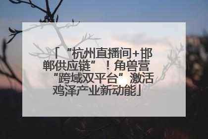 “杭州直播间+邯郸供应链”！角兽营“跨域双平台”激活鸡泽产业新动能