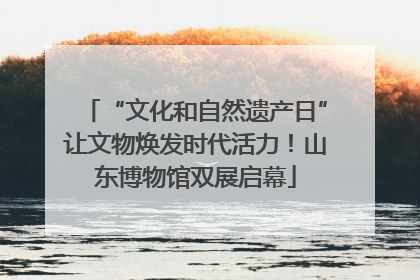 “文化和自然遗产日”让文物焕发时代活力！山东博物馆双展启幕