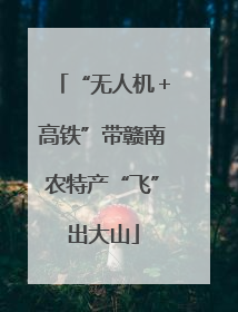“无人机＋高铁”带赣南农特产“飞”出大山
