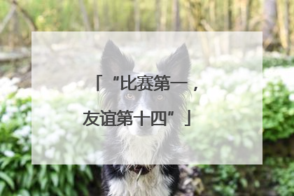 “比赛第一，友谊第十四”