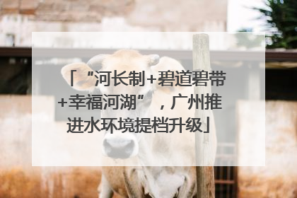 “河长制+碧道碧带+幸福河湖”，广州推进水环境提档升级