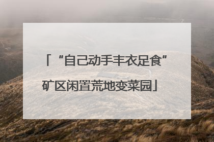 “自己动手丰衣足食”矿区闲置荒地变菜园