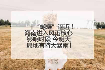 “蝴蝶”逼近！海南进入风雨核心影响时段 今明天局地有特大暴雨