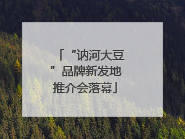 “讷河大豆”品牌新发地推介会落幕