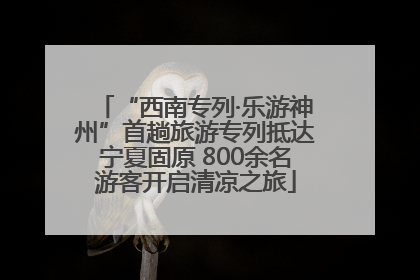 “西南专列·乐游神州”首趟旅游专列抵达宁夏固原 800余名游客开启清凉之旅