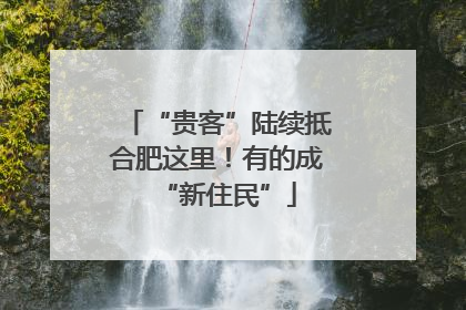 “贵客”陆续抵合肥这里！有的成“新住民”