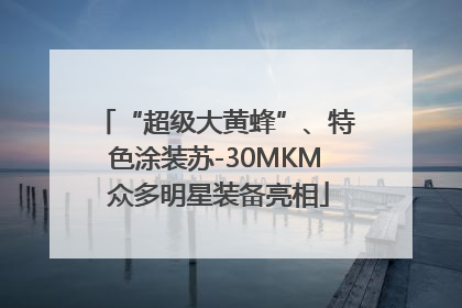 “超级大黄蜂”、特色涂装苏-30MKM 众多明星装备亮相