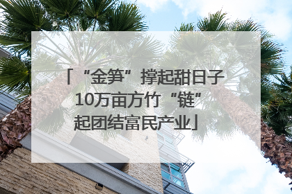 “金笋”撑起甜日子 10万亩方竹“链”起团结富民产业
