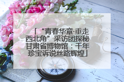 “青春华章·重走西北角”采访团探秘甘肃省博物馆：千年珍宝诉说丝路辉煌