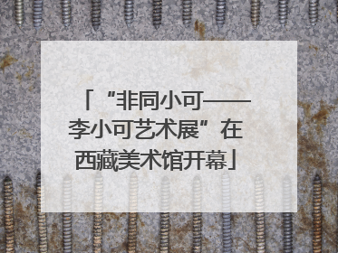 “非同小可——李小可艺术展”在西藏美术馆开幕