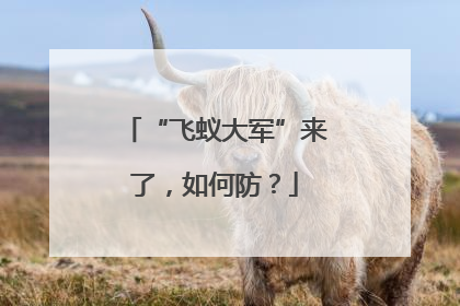 “飞蚁大军”来了，如何防？