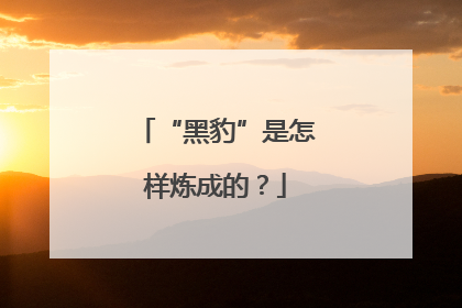 “黑豹”是怎样炼成的？