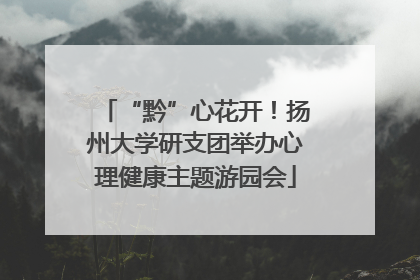 “黔”心花开！扬州大学研支团举办心理健康主题游园会