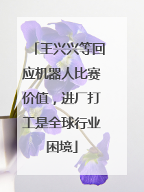 王兴兴等回应机器人比赛价值，进厂打工是全球行业困境