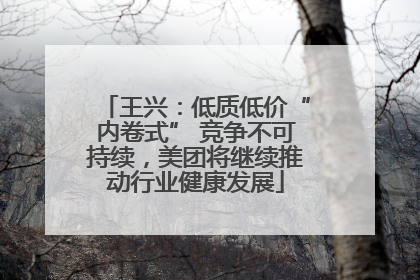 王兴：低质低价“内卷式” 竞争不可持续，美团将继续推动行业健康发展