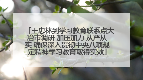 王忠林到学习教育联系点大冶市调研 加压加力 从严从实 确保深入贯彻中央八项规定精神学习教育取得实效
